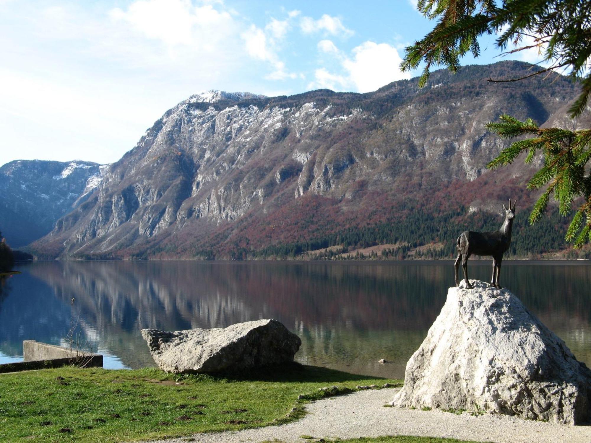 Apartments Na Vasi Bohinj Exterior foto